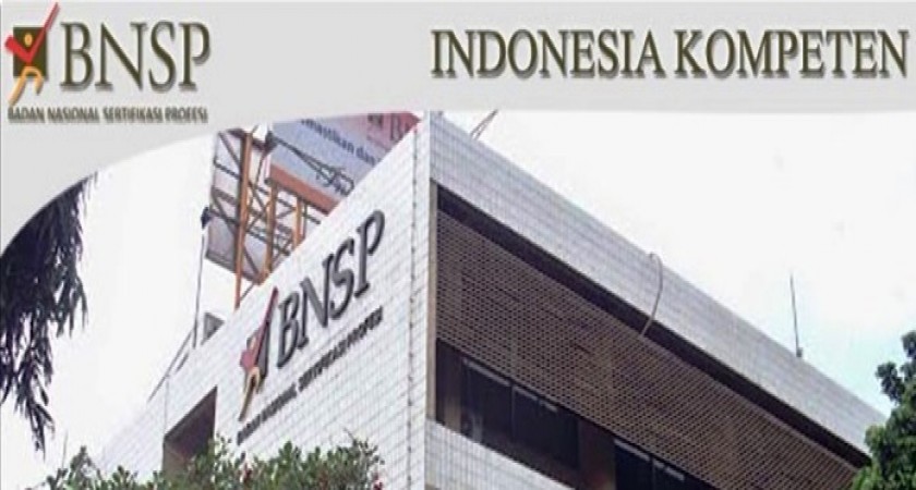 Program PSKK BNSP Tahun 2019